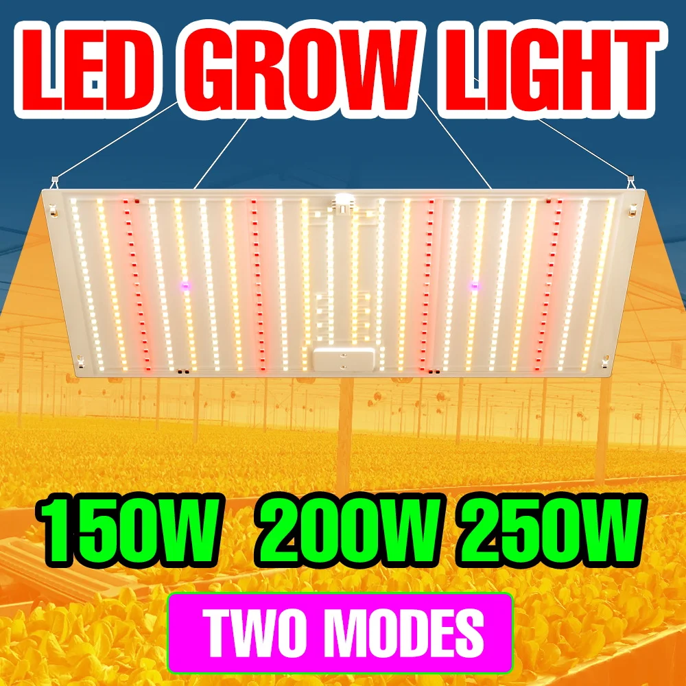 250 واط LED الطيف الكامل تنمو ضوء الكم مجلس النبات الأشعة فوق البنفسجية مصباح داخلي الدفيئة خيمة عصاري الفواكه الخضروات ملء الإضاءة #1