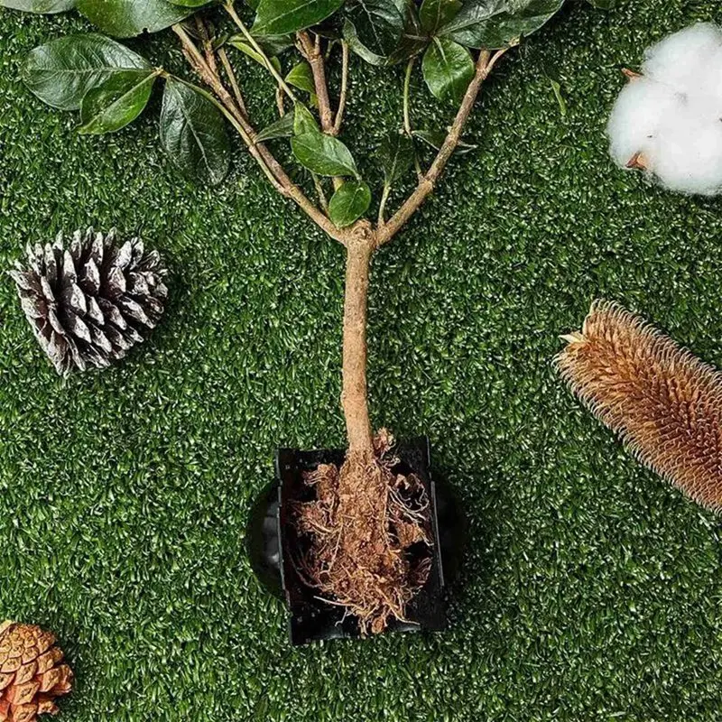 8 ซม.พืช Rooting อุปกรณ์แรงดันสูง Propagation Ball ปลูกกล่อง Breeding สําหรับ Garden Graft กล่อง Sapling