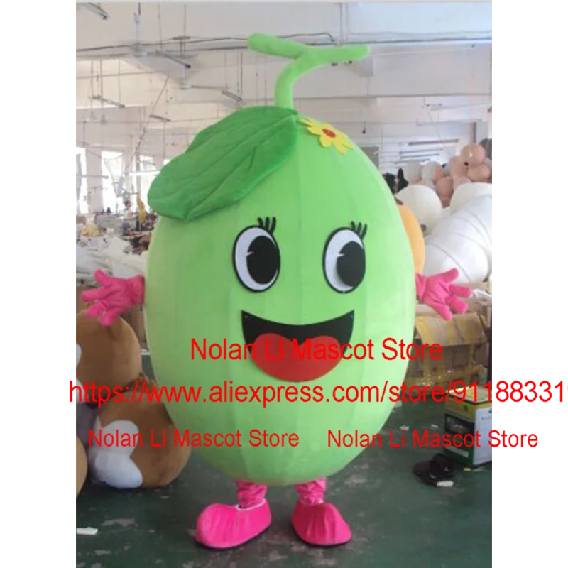 High Quality EVA Material Melon Mascot Costume Fruit Cartoon Anime Birthday Party Cosplay Festival Celebration 562-2