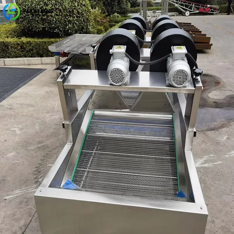 Customized Food Grade Fruit & Vegetable Drying Conveyor Belt Mobile Stainless Steel Air Drying Equipment
