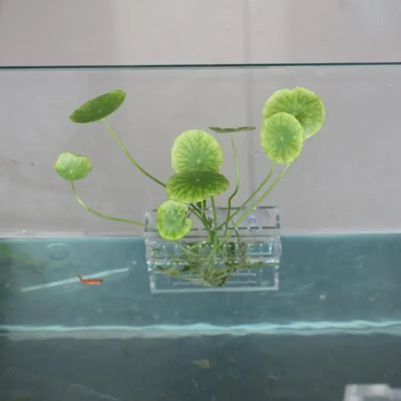 97QD ACRYLIC SHANGING Suction Suction Topeador jarrón Transparente Pot plantación acuario Pescado para adornos