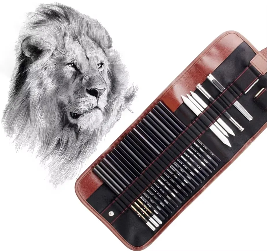 مجموعة رسم قلم فحم مجموعة كاملة من الطلاب مع أدوات الرسم لوازم فنية احترافية للمبتدئين رسم ضروري