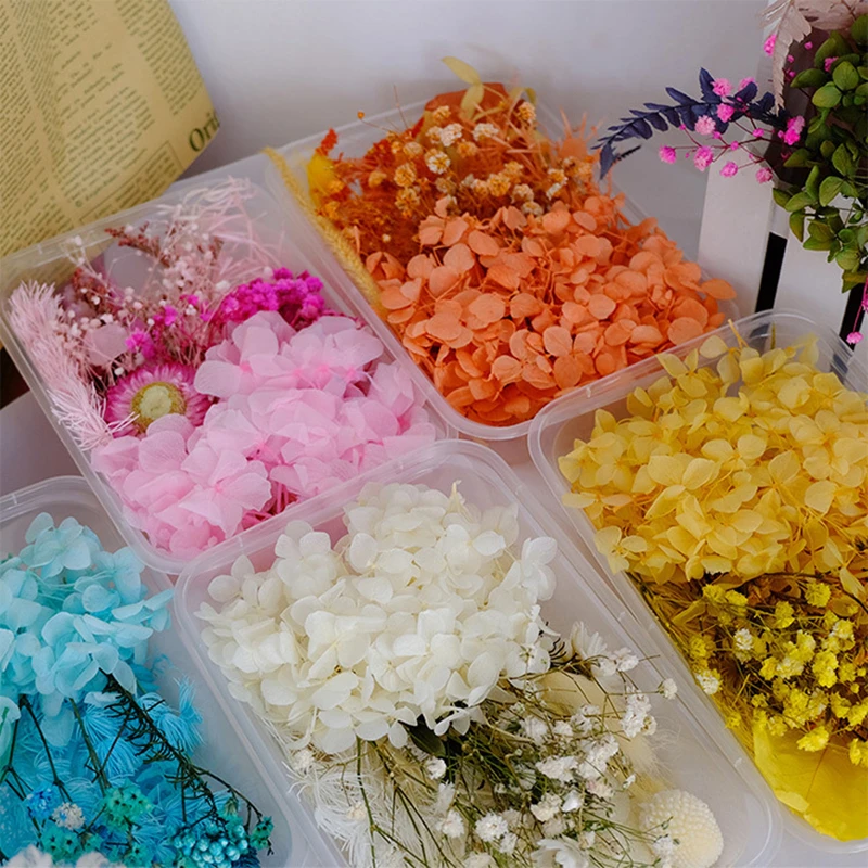 

Dried Flowers Kit Multi-use DIY Candle Making Hydrangea Chrysanthemum Gypsophila Petals Embossing Christmas Supplies Material