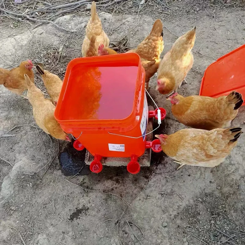 Bebedero automático para pollos, bebedero de plástico para aves de corral, alimentador de agua potable para pollitos, pato, ganso, codorniz