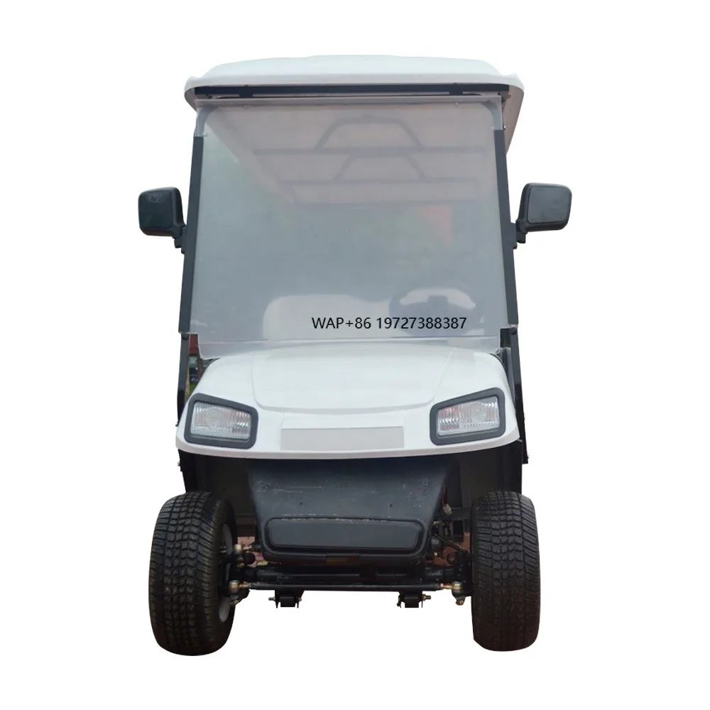 Factory Supply Mini Electric Golf Cart 4-Wheel Buggy with 48v Battery Single 2 Seat Electric Motor EEC Certified