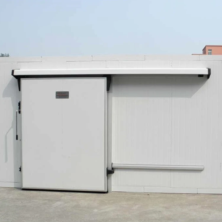 Cold room manufacturer manual or automatic steel single or double cold storage sliding doors