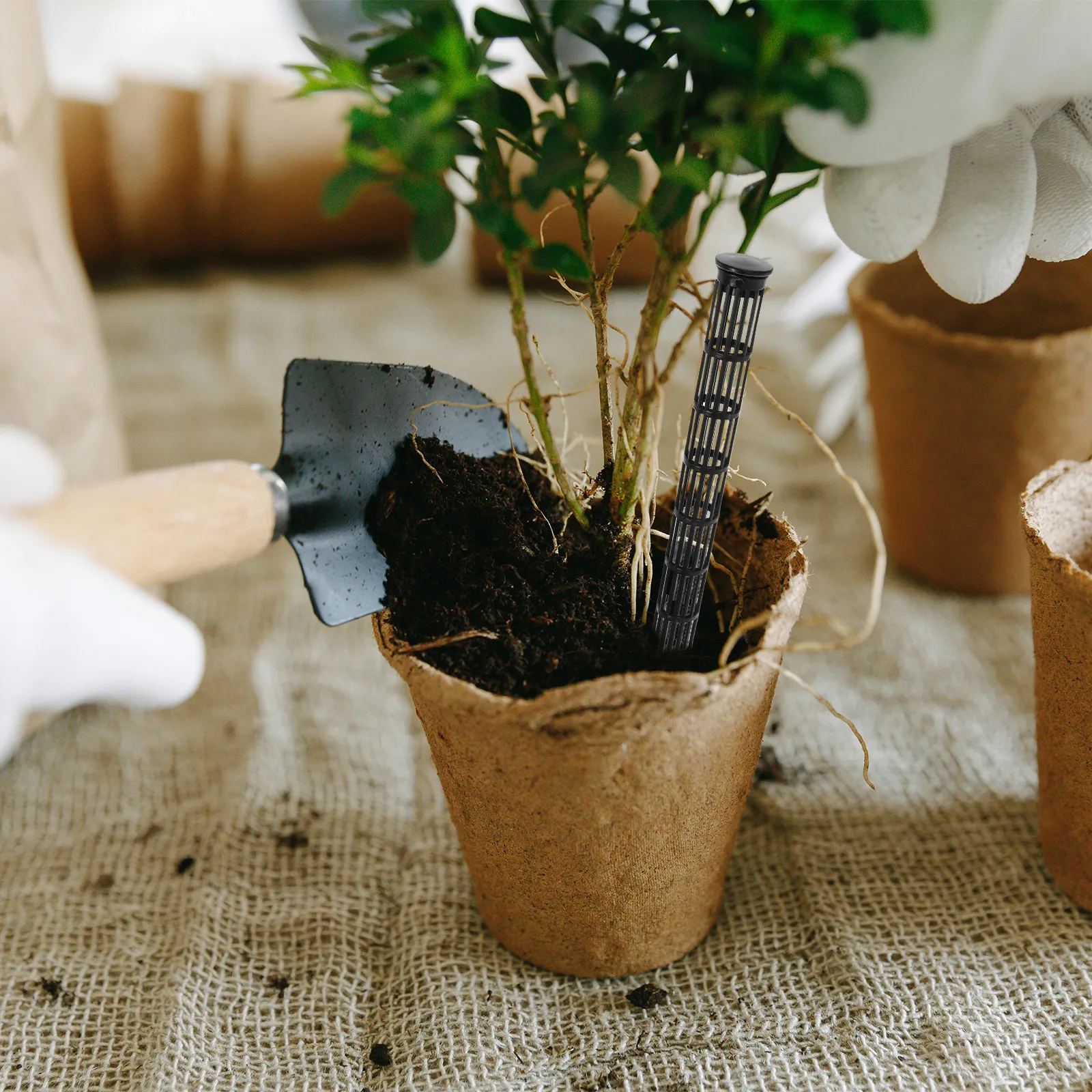 30Pcs Plant Soil Ventilation Tubes 9.8 Inch Extended Root Vent Stakes Anti Root Rot Accessories for Flowerpots Potted Plants