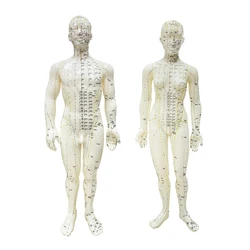 Puntos de acupuntura masculinos y femeninos, cabeza del cuerpo humano, pie, modo de mano, Base, meridianos de acupuntura humana, modelo con Manual de usuario, 48CM/50CM