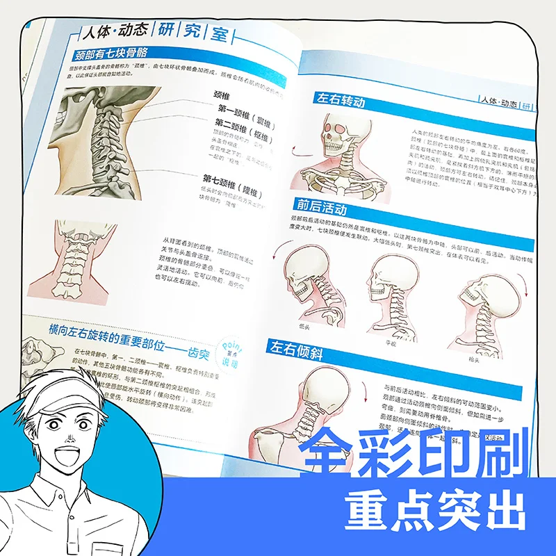 Japanese master speaks manga :How To Draw Head Neck, Shoulders Arms ,Waist , A Beginner's Guide to Drawing the Human Body Book
