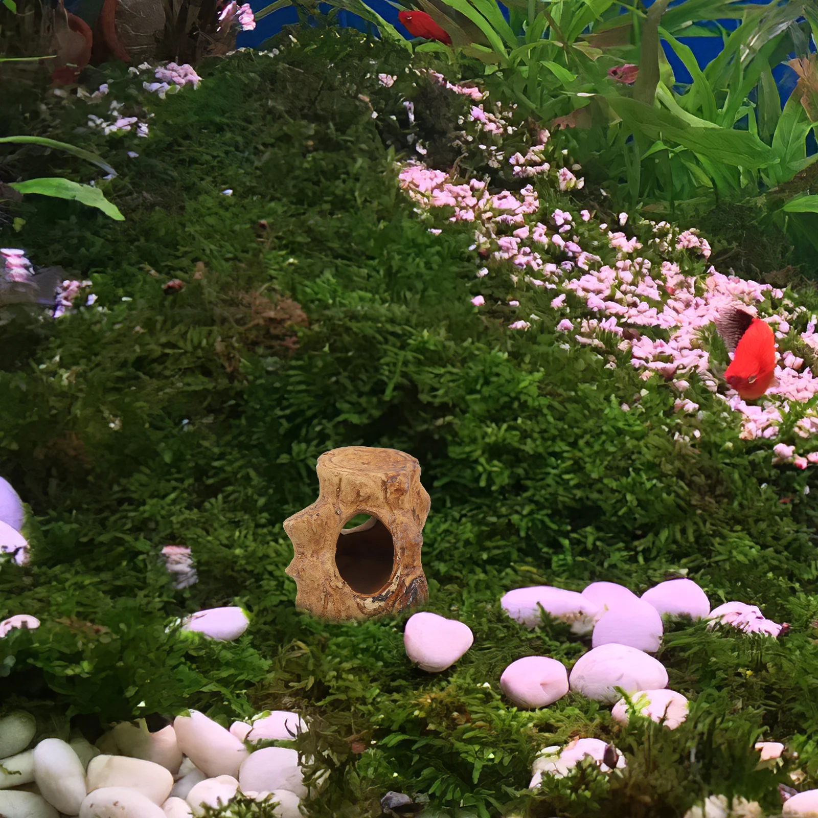 

Ceramic Tank Hideout House Reptile Hideout Shelter Breeding Natural Durable Safe Betta Turtle Easy Clean Decorations