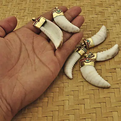 6PCS Natural Seashell Fang Pendants Metal Brass Capped Shell Big Amulets for Man TBP556