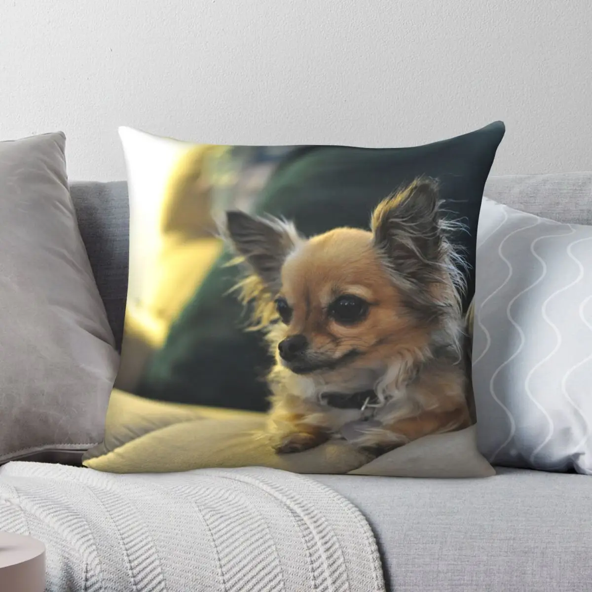 Long Haired Chihuahua Square Pillowcase Polyester Linen Velvet Pattern Decor Pillow Case Sofa Seater Cushion Cover Wholesale