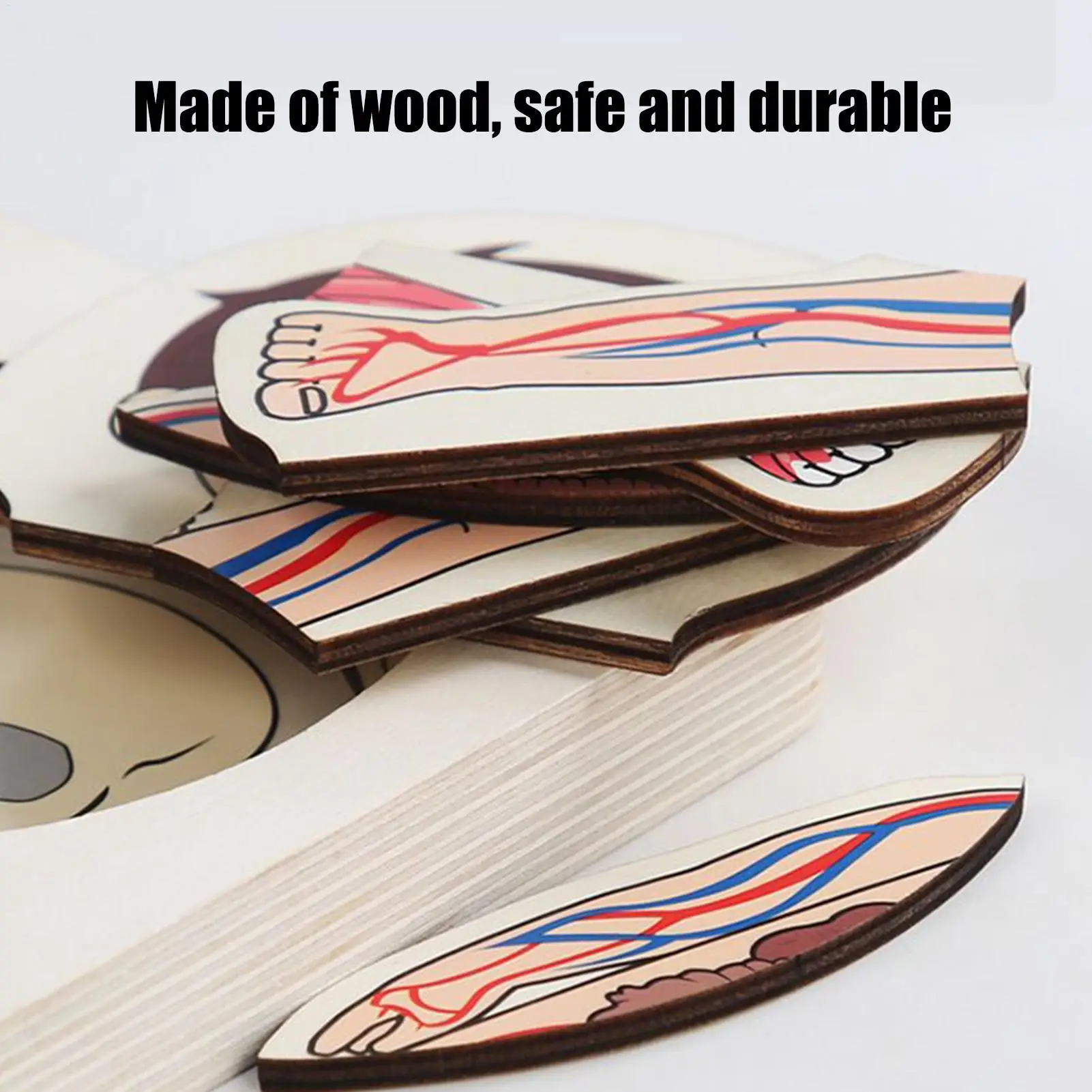 Quebra-cabeça multicamadas de madeira, estrutura do corpo humano, jogo de quebra-cabeça, crianças, meninos, meninas, brinquedos educativos montessori para crianças