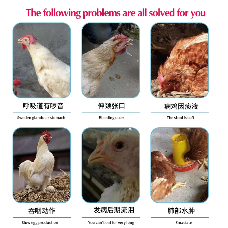 Veterinary Branch Blockage Net Cough Snoring Air Sac Inflammation Respiratory Chicken Duck Goose and Poultry Special