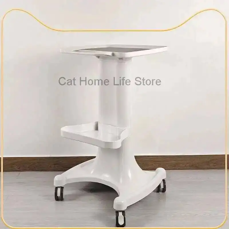 

Trolley Degree High 360 End Rotating Beauty Trolley Salon Roller Trolley Storage Rack Werkzeugwagen Auxiliary Cart Organizer