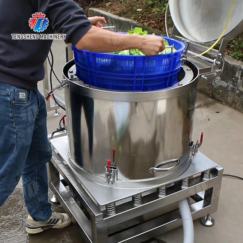 

Automatic Tomato Carrot Washer Vegetable Washing Machine Washer Machine