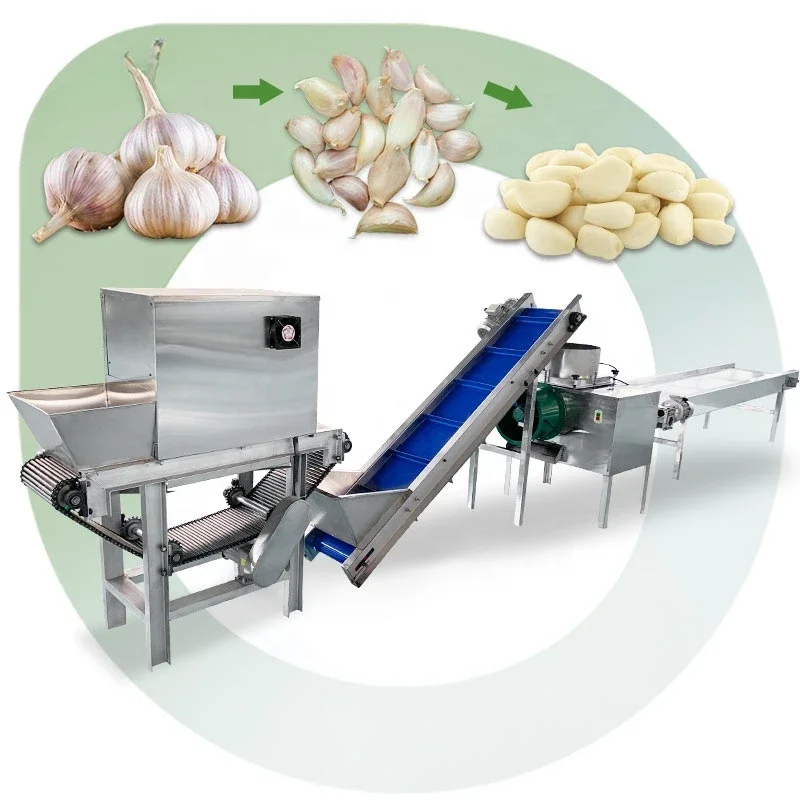 Industrial Automatic Ginger Garlic Bulb Break Make Separate Peeler Peel Machine and Product Line in Egypt