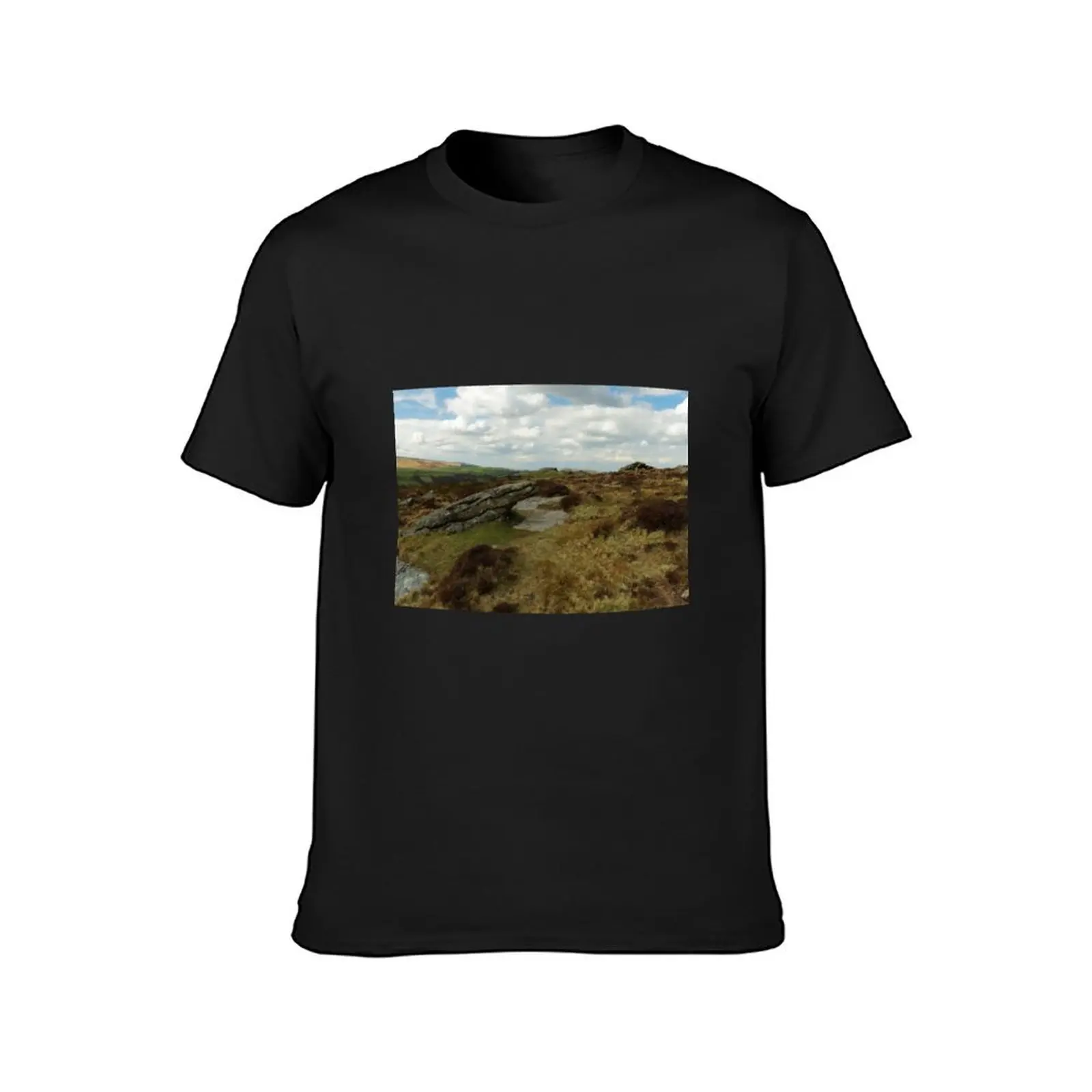 DARTMOOR COUNTRYSIDE T-Shirt quick drying anime clothes customizeds plain t shirt men