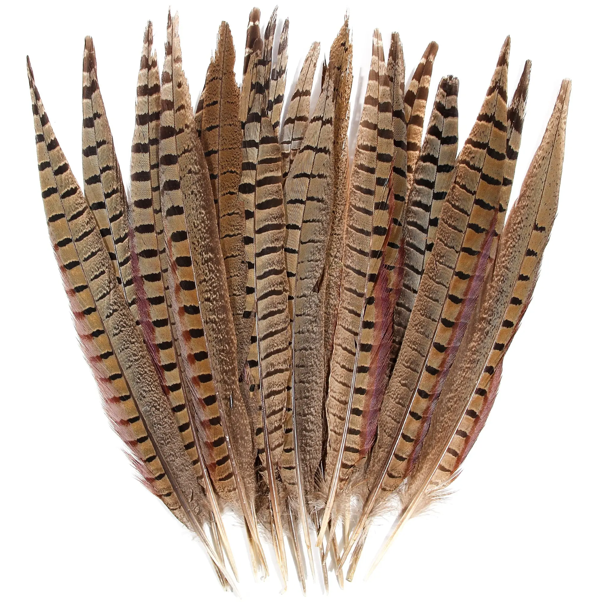 

10-60cm Pheasant Feather Male Natural Ringneck Tails Feathers 12-14inch 30-35cm for Crafts Home Wedding Party DIY Decoration