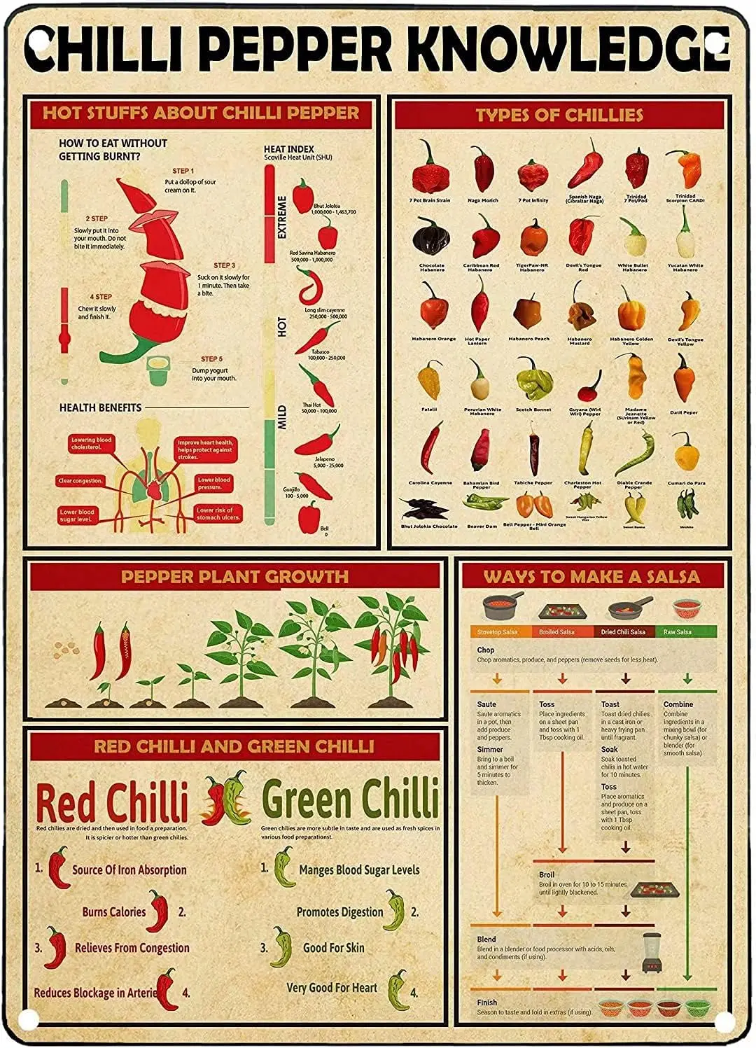 JIUFOTK Affiches éducatives sur les piments, guide scientifique, panneaux métalliques, décoration murale pour chambre et club, plaque vintage 8x12 pouces