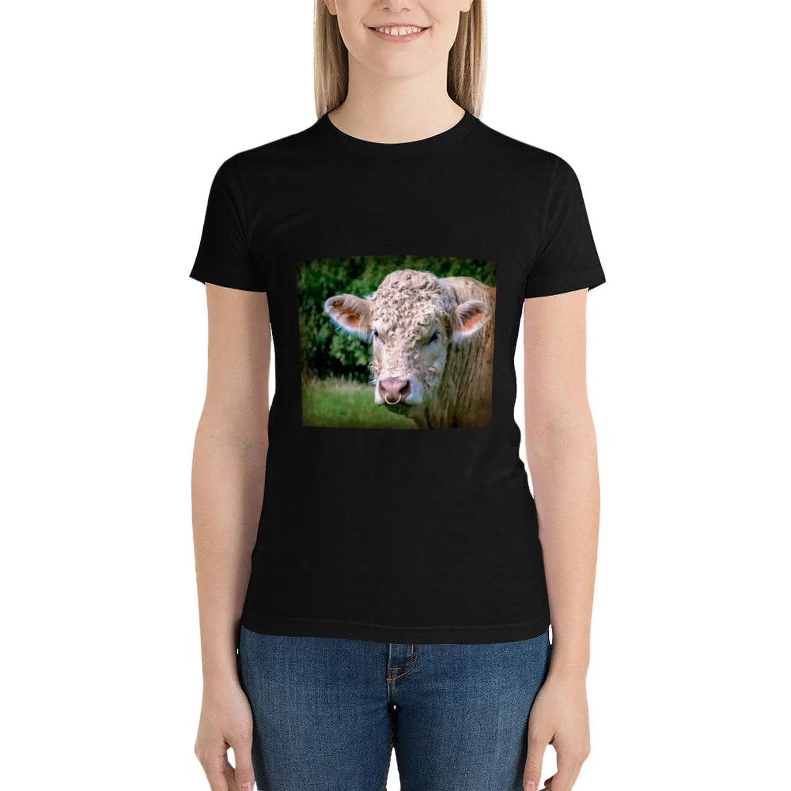 

Charolais Bull T-Shirt vintage clothes Aesthetic clothing shirts graphic tees summer clothes summer clothes for Women