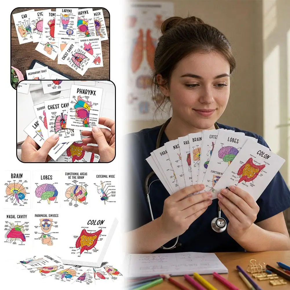 30Pcs Human Organ Anatomy Flashcards Detailed Brain Thyroid&Parathyroid Study Card For Self-Study Teaching Homeschool Education
