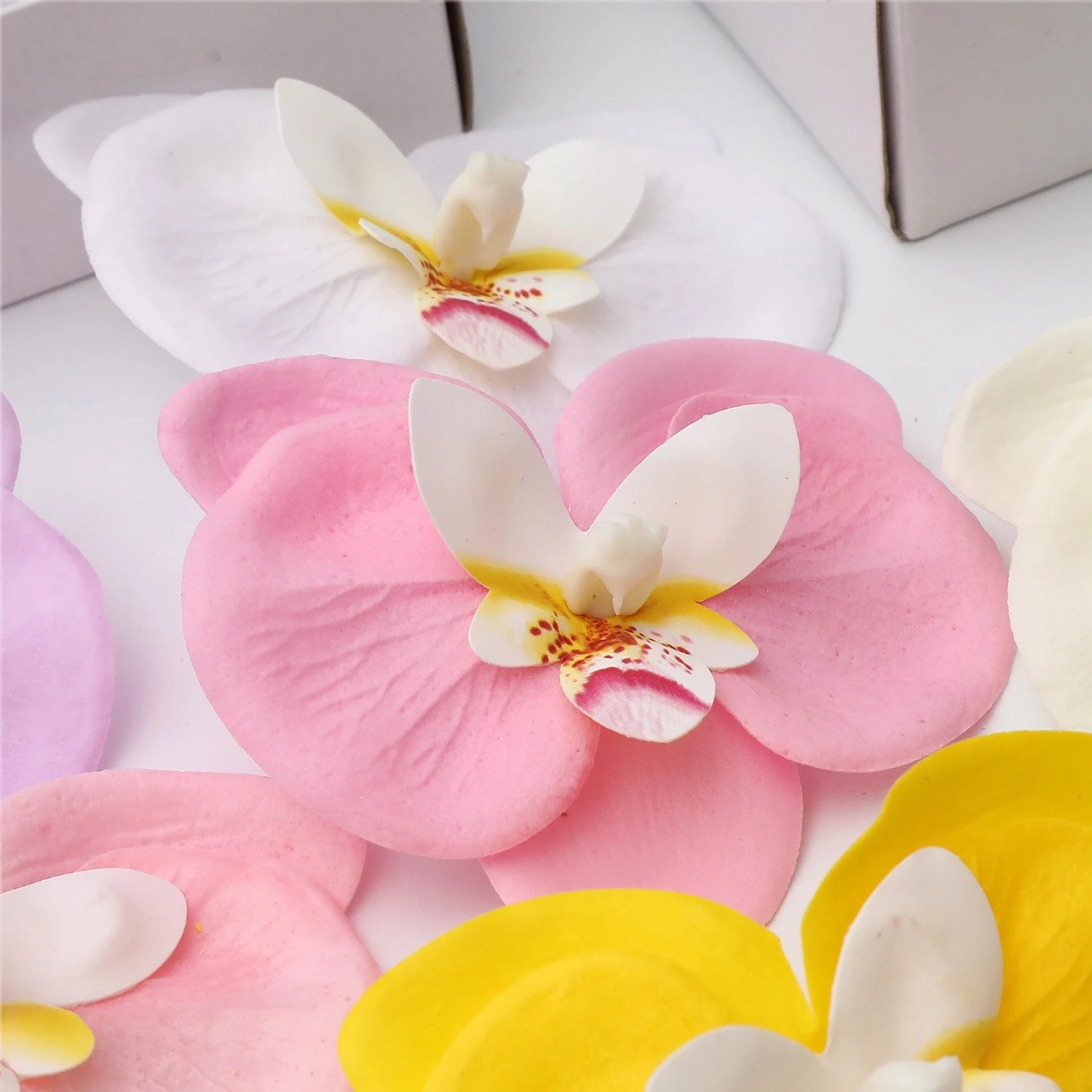 ดอกกล้วยไม้ฟาแลนนอปซิสแบบใหม่ - Soap Making Book บทวิจารณ์และราคา