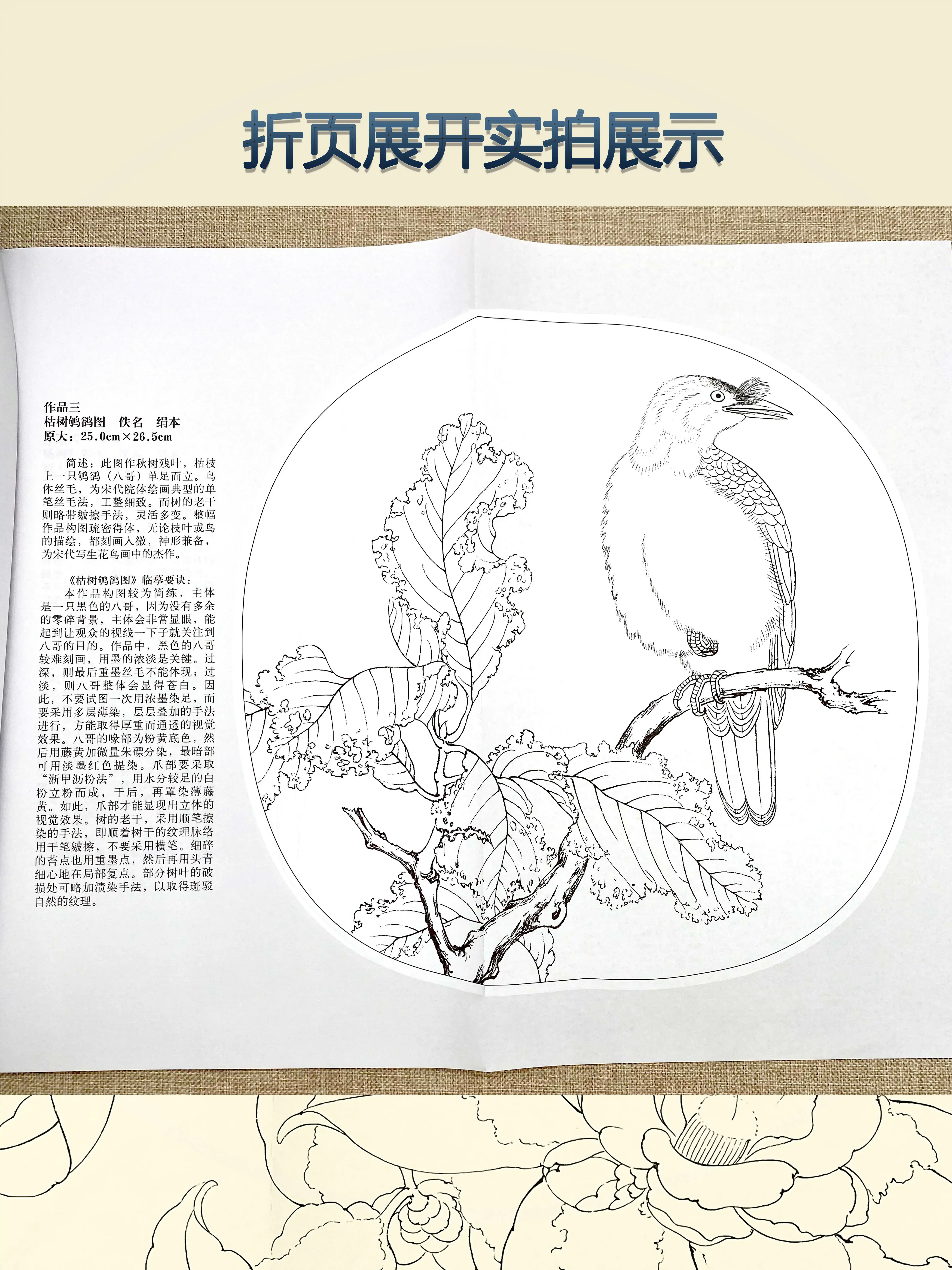 Song Dynasty Flower and Bird Painting Draft, Explicação Detalhada dos Passos da Técnica, Copiar Pintura, Desenho de Linha