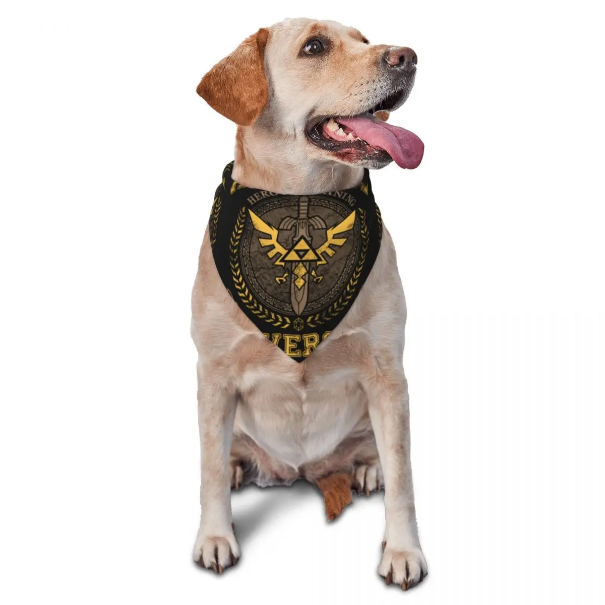 Bandanas para mascotas Legend Of Zeldas, bufandas para mascotas universitarias Hyrule, decoración, babero triangular para perros y gatos