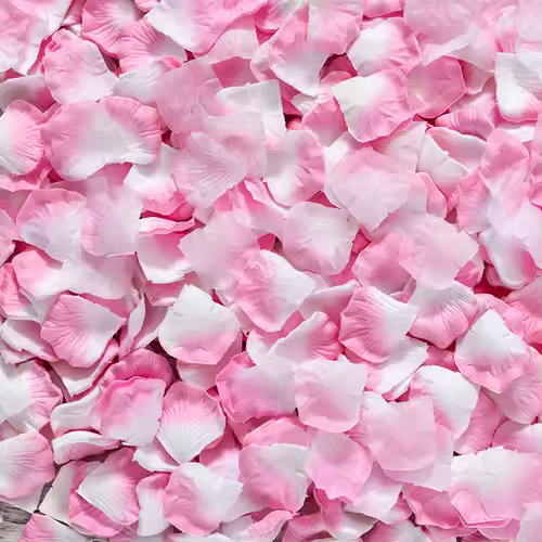 Black Artificial Rose Petals For Wedding Party Flower Favors Decoration Roses Supplies 500pcs Silk Petals Rosas Para Casamento - Image 14