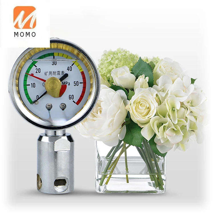 60 mm 12 MPa Mini-Manometer mit Bodenmontage