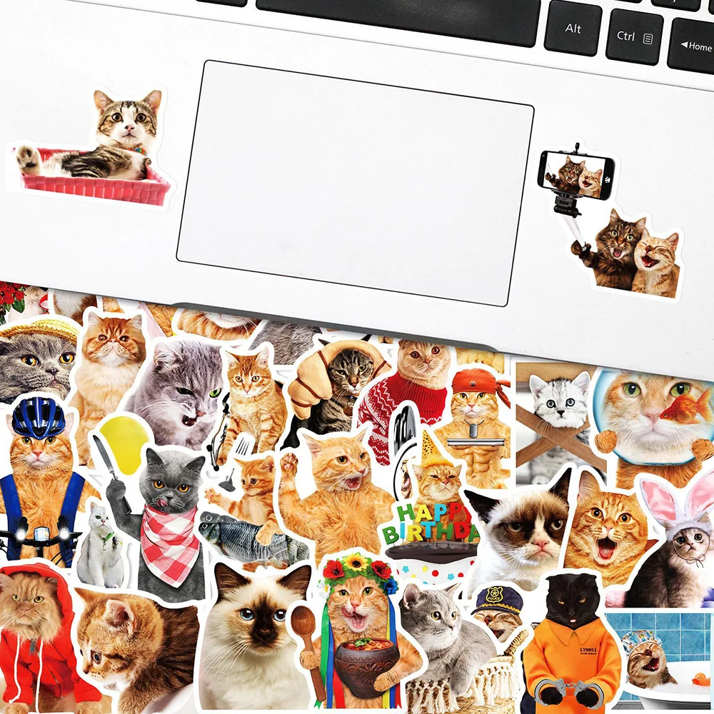 10/30/50 Stuks Grappige Kat Meme Dieren Cartoon Stickers Speelgoed Diy Notebook Motorfiets Laptop Waterdichte Grap Graffiti Stickers Packs