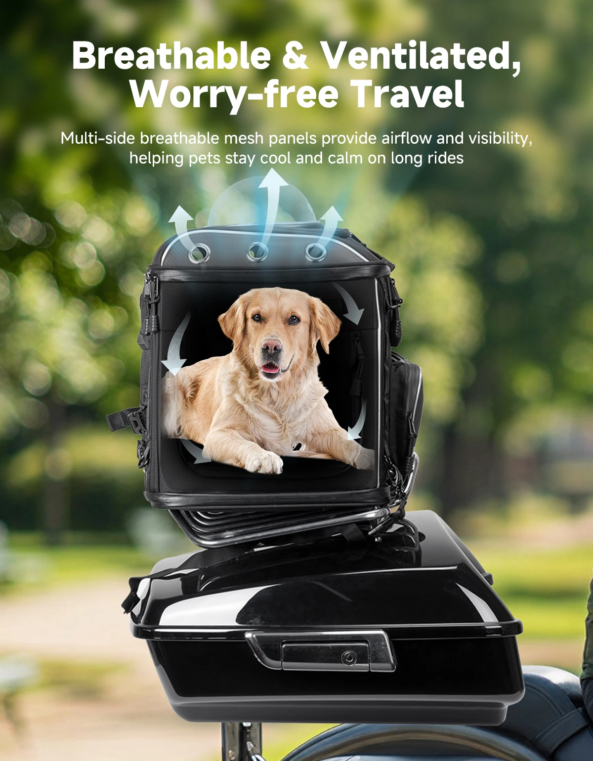 Motorcycle Pet Carrier Bag Dog Cat Bag for Street Glide Road King Electra Glide Passenger Seat Luggage Rack Touring Trike Models