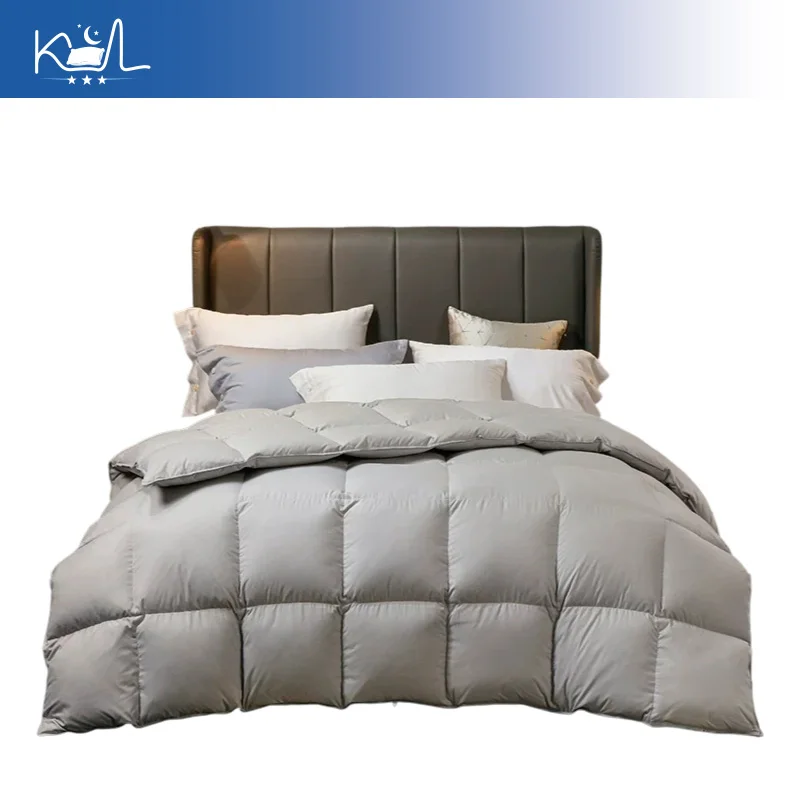 95% White Goose Down Comforter, Thick Warm Winter Duvet Insert for All Season, Lightweight Soft Bed Quilt