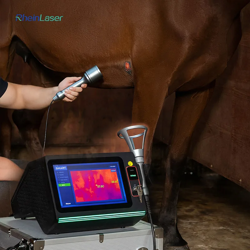 Smart ICE Professional 30w/45w/60w Class IV Veterinary Laser Therapy Machine With Quad Wavelengths For Pets