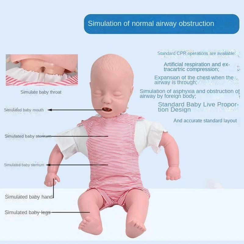 Accessories Heimlich Emergency Training Model Medical Teaching Manikin For Emergency Rescue Skill Practical Learning