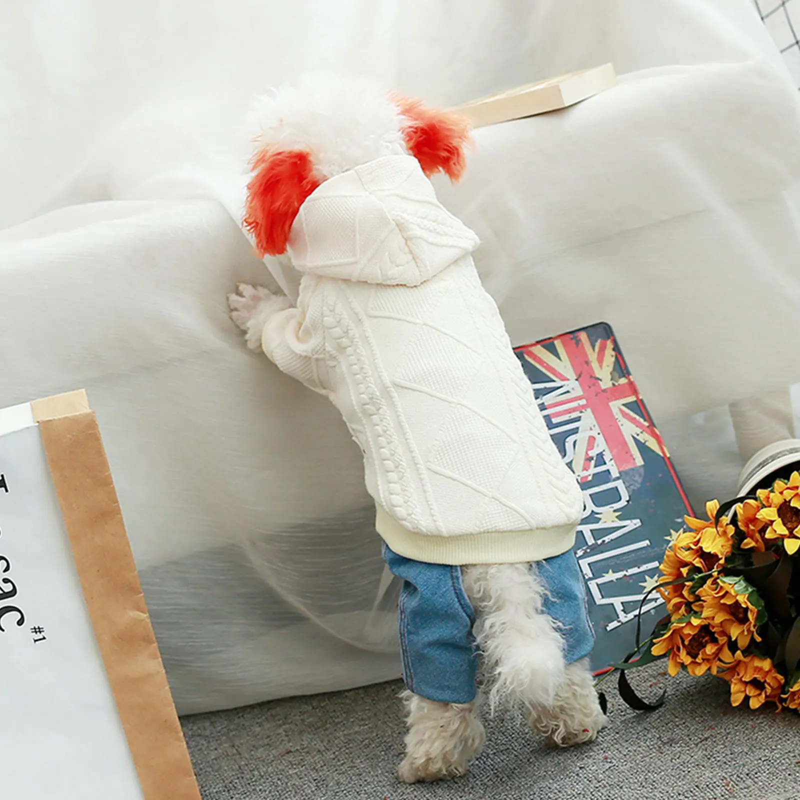 

Cozy Winter Dog Sweater with Hood Warm Knitted Pet Sweater for Dogs Stylish Comfortable Fit All Seasons Ideal Gift for Pets Dog