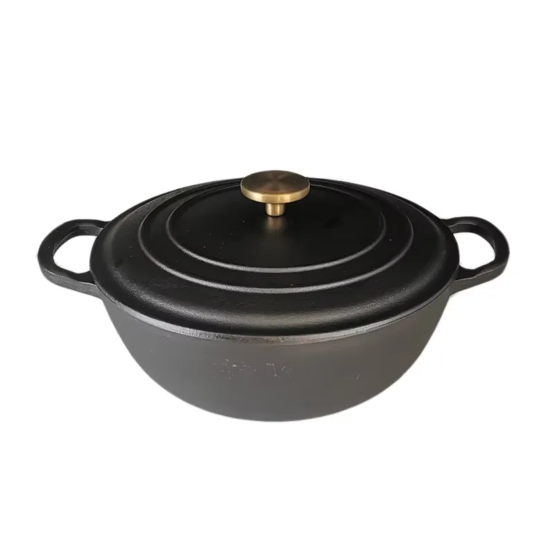 26cm Cast Iron Stew Pot with Lid Multifunction Cookware