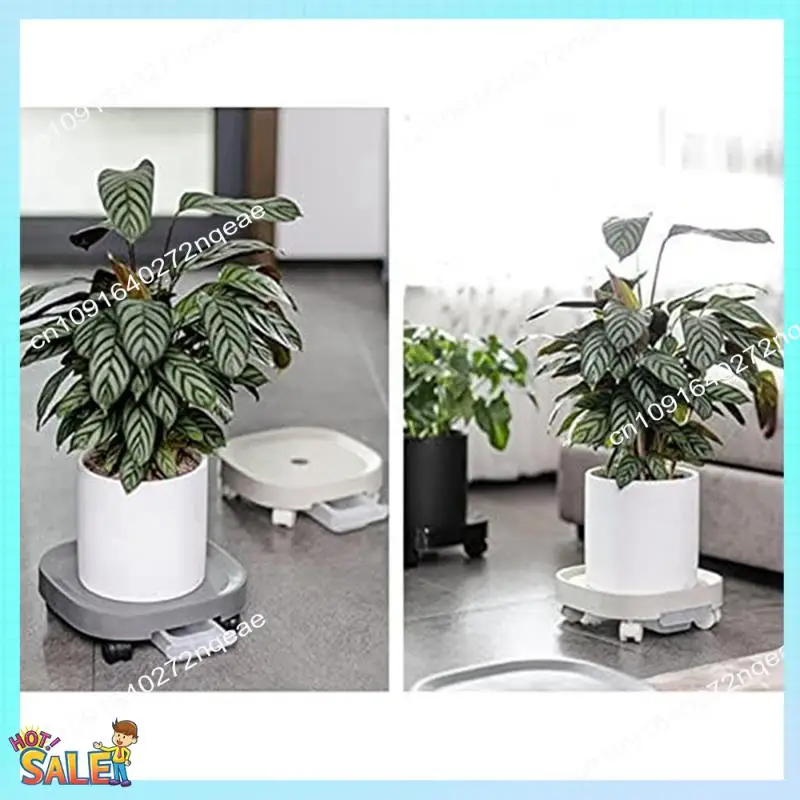 N08R Caddy de paletas para plantas, muñeca para macetas, soporte para plantas con ruedas y contenedor de agua blanco