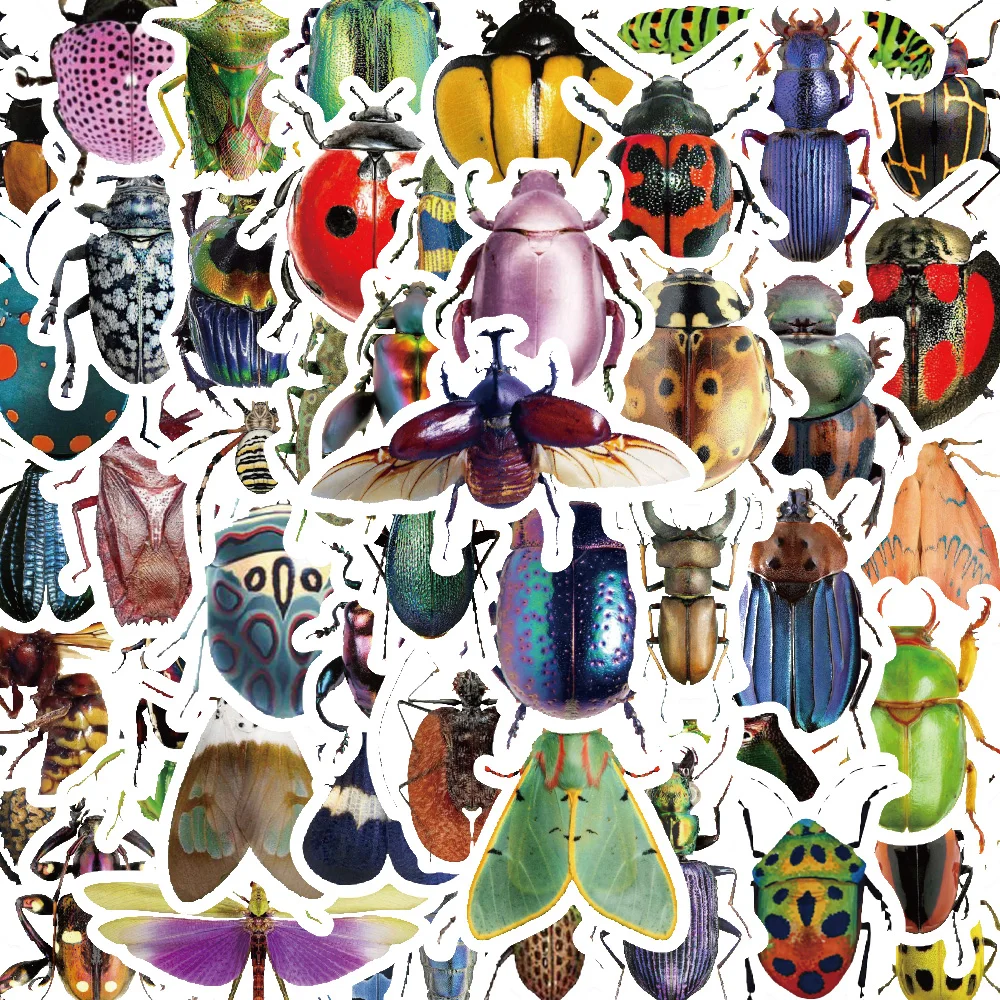 50PCS Stickers of Various Cute Insects and Beetles Insect Teaching Aids Stickers Collectible Stickers for Insect Lovers