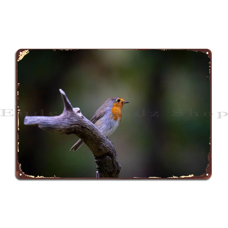 European Robin Bird In The Metal Plaque Poster Wall Mural Create Cave Party Living Room Tin Sign Poster