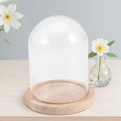 

Preserved Flower Glass Transparent Mini Cloche Wooden Base Portable DIY Craft Decoration Birthday Gift Storage