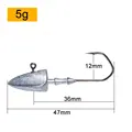 5g