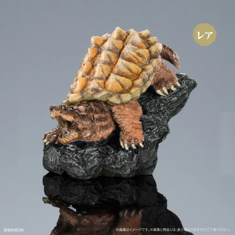 الموسوعة البيولوجية الأصلية من بانداي ألعاب غاشابون سلسلة السلاحف البحرية 01 زخرفة نموذج السلحفاة تشيلوس فيمبرياتا