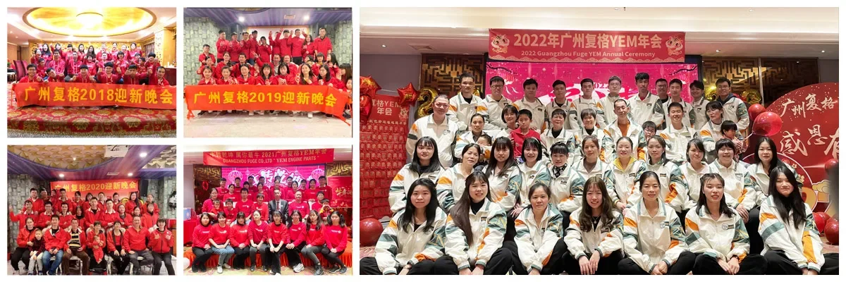 Bomba de inyección de combustible 2644P501 para piezas de motor Perkins