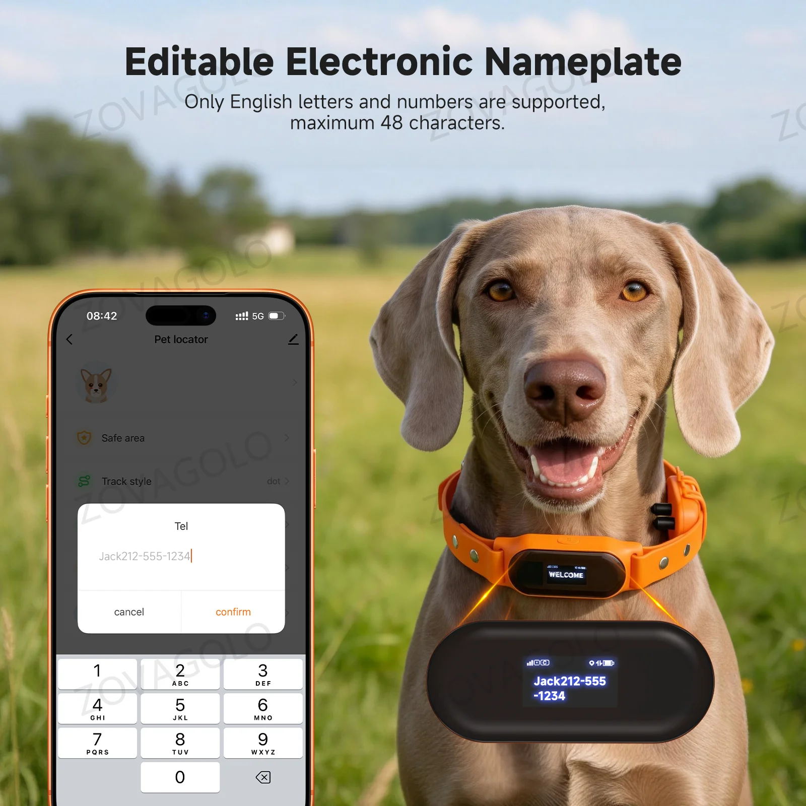 Dog Gps Tracker Collar 4G Waterproof - C08-PX: localizador GPS para mascotas, collar