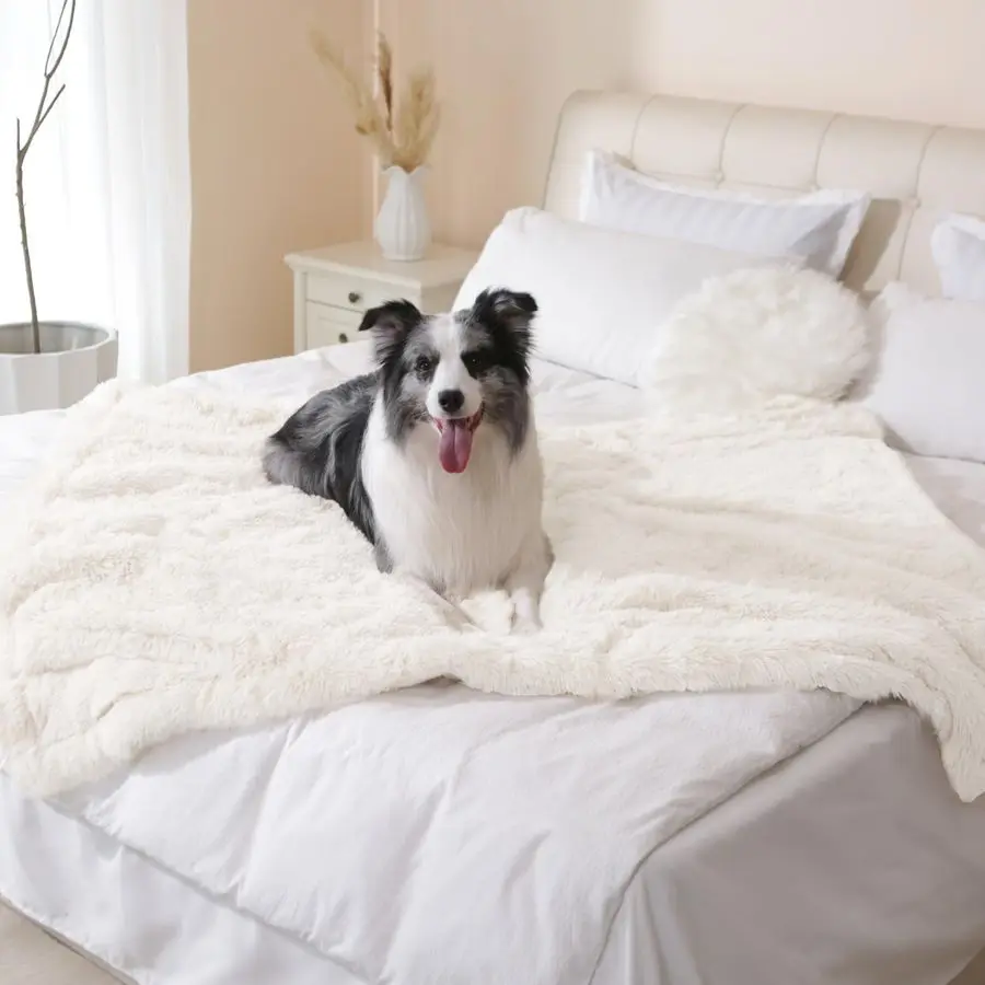 Waterproof Dog Blan…