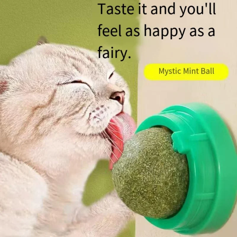 1-2 قطعة القط الجدار عصا على الكرة لعبة المولي الأسنان النعناع البري وجبة خفيفة الكرة يزيل كرات الشعر تعزيز الهضم مع غطاء غبار منتجات الحيوانات الأليفة #2