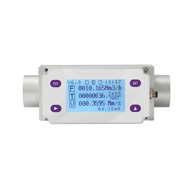 Insertion/Pipeline Type DN10-DN50 Thermal Gas Mass Flow Meter Digital OEM with RS485 Aluminum Alloy 10-4000L/min Measurement