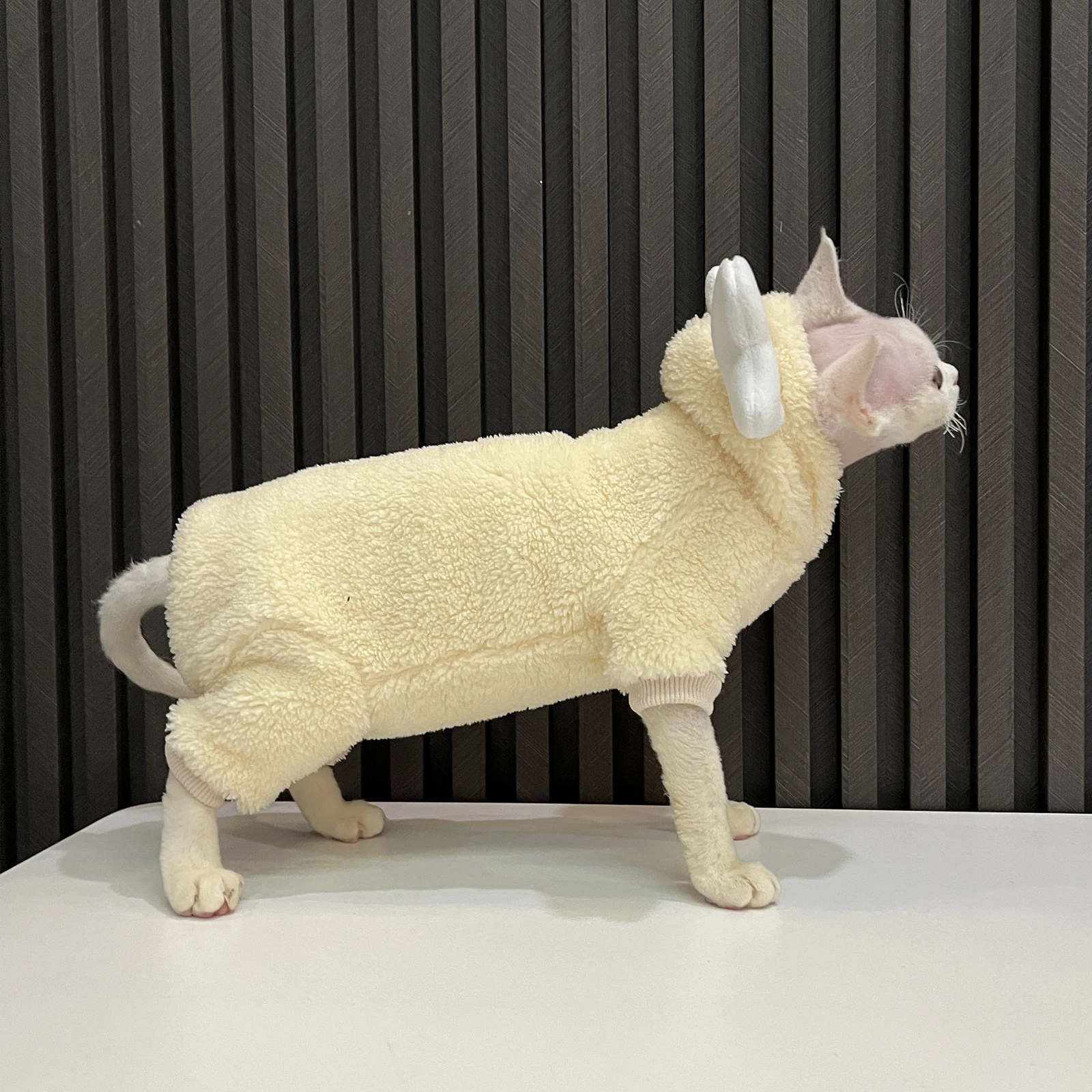 Cat Clothing Soft Winter Sweater for Sphynx Cat Warm Plush Loungewear for Kittens Cute Long Sleeves Coat Hat Suit for Devon Rex